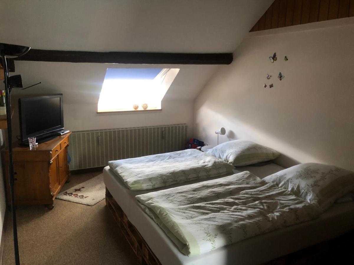 Ironico Homestay 4 Schlafzimmer Ferienwohnung 100 M2 Nahe Bostalsee Eisen  Buitenkant foto