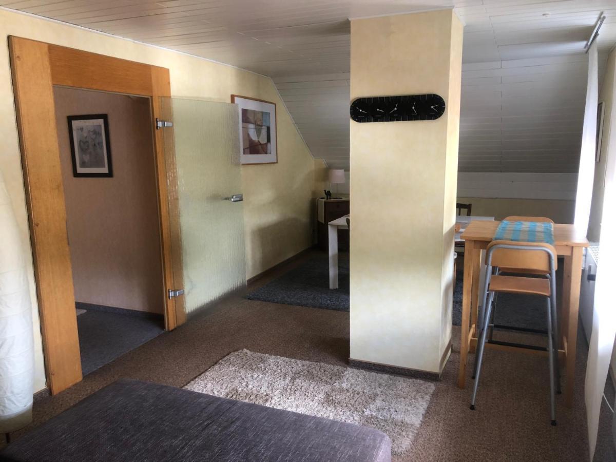 Ironico Homestay 4 Schlafzimmer Ferienwohnung 100 M2 Nahe Bostalsee Eisen  Buitenkant foto